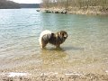 filou (36)
